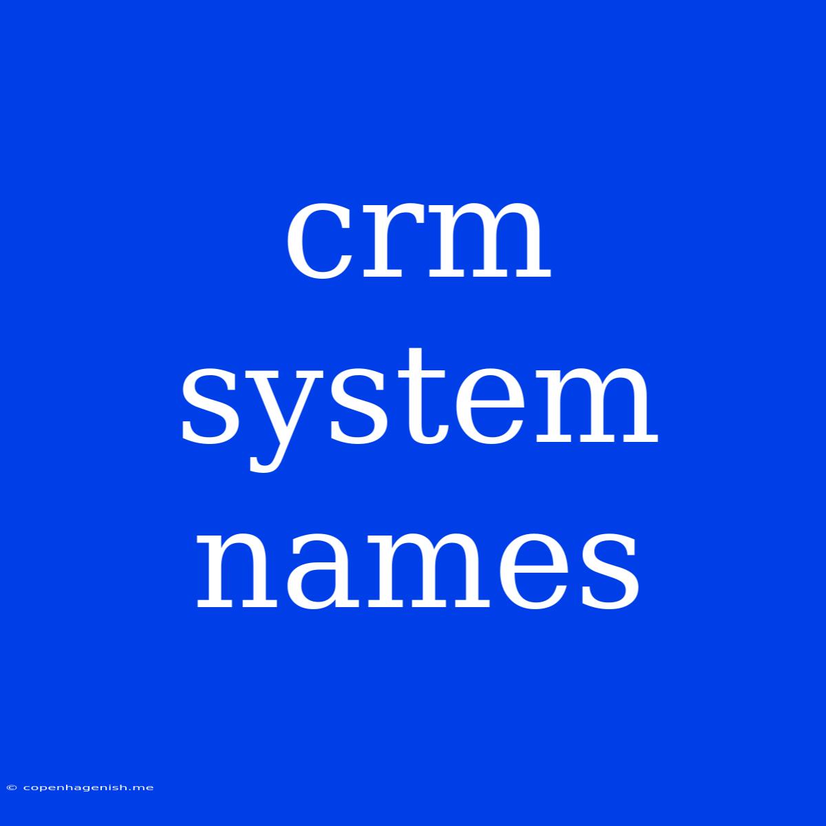 Crm System Names