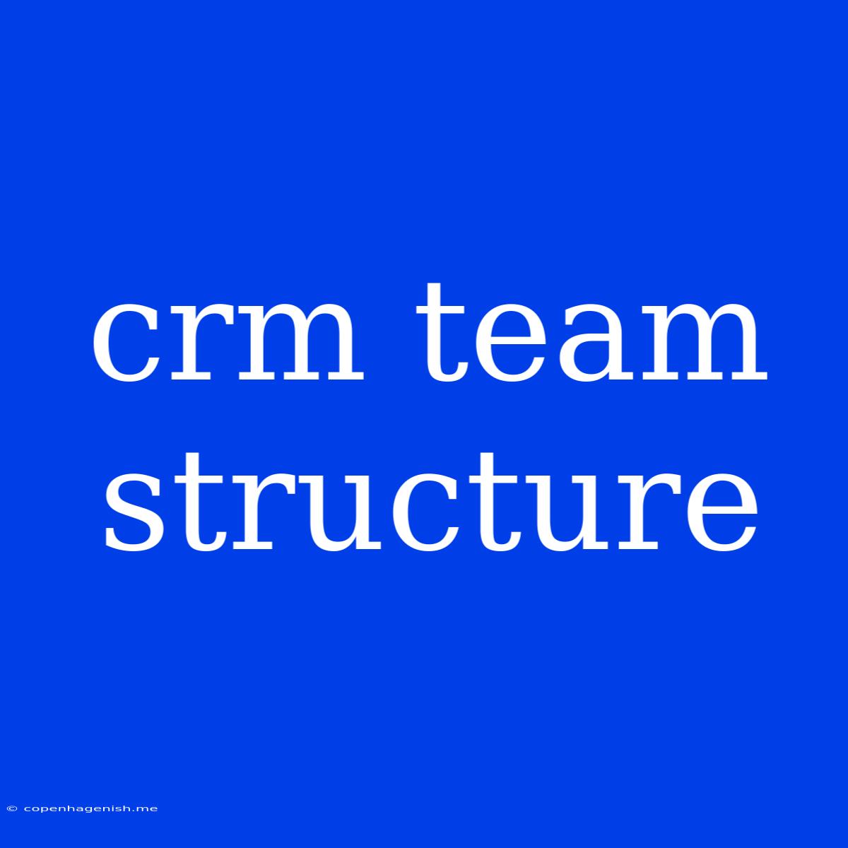 Crm Team Structure