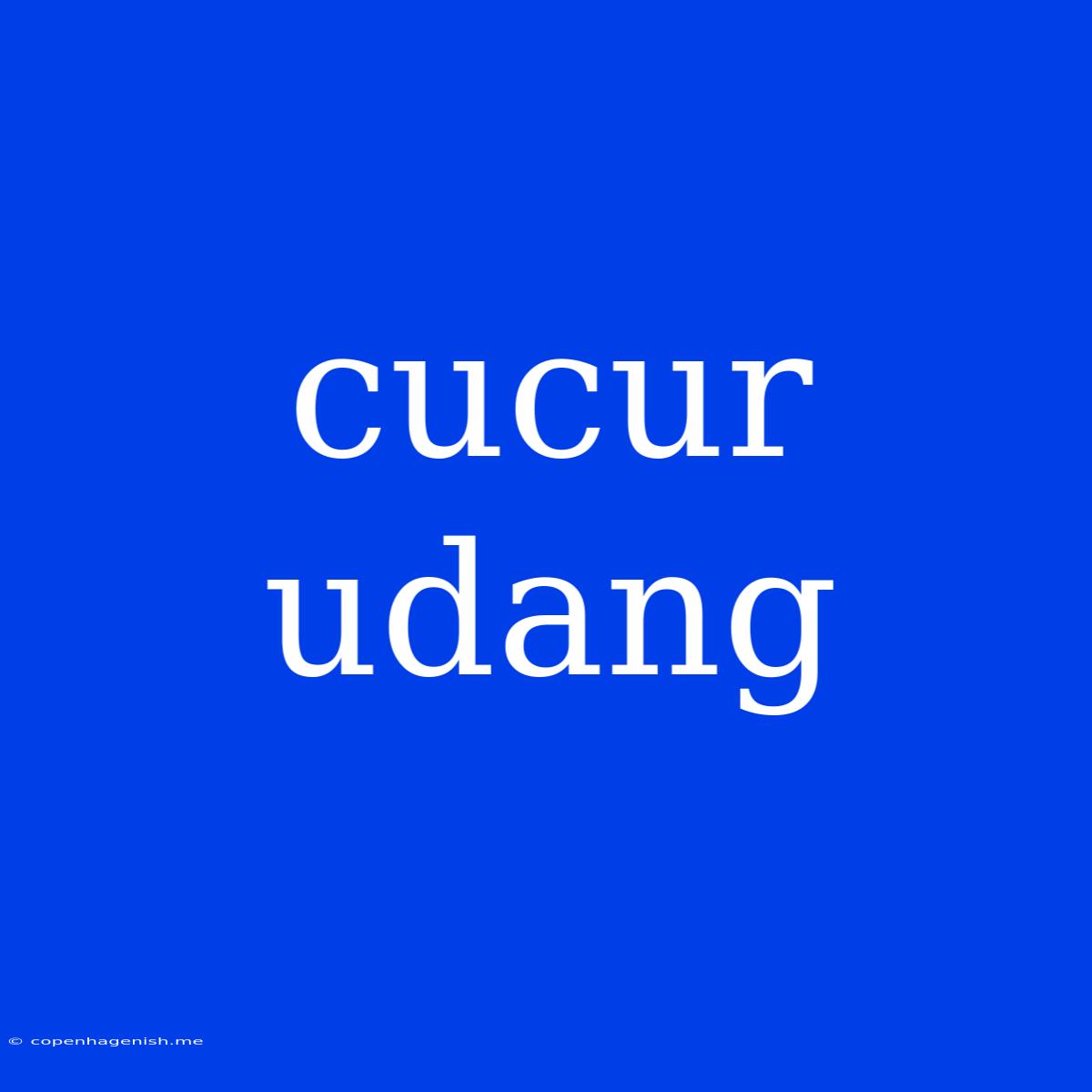 Cucur Udang