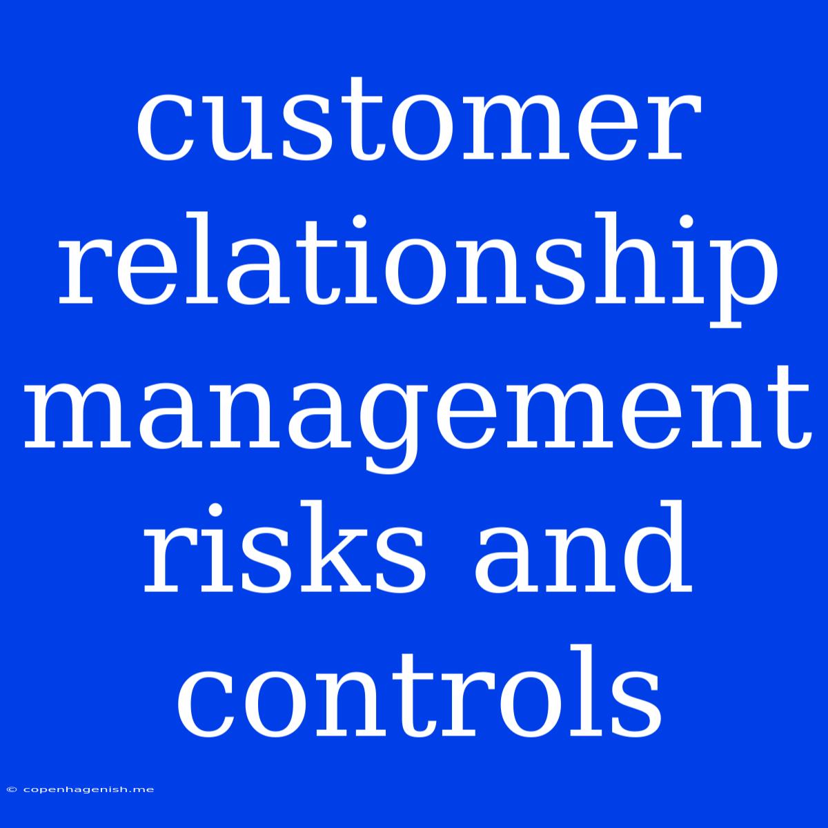 Customer Relationship Management Risks And Controls