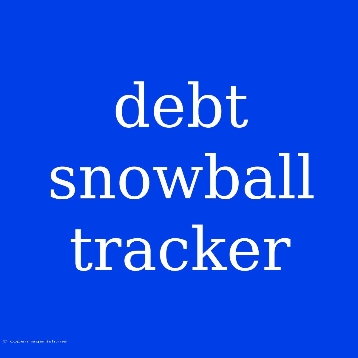 Debt Snowball Tracker