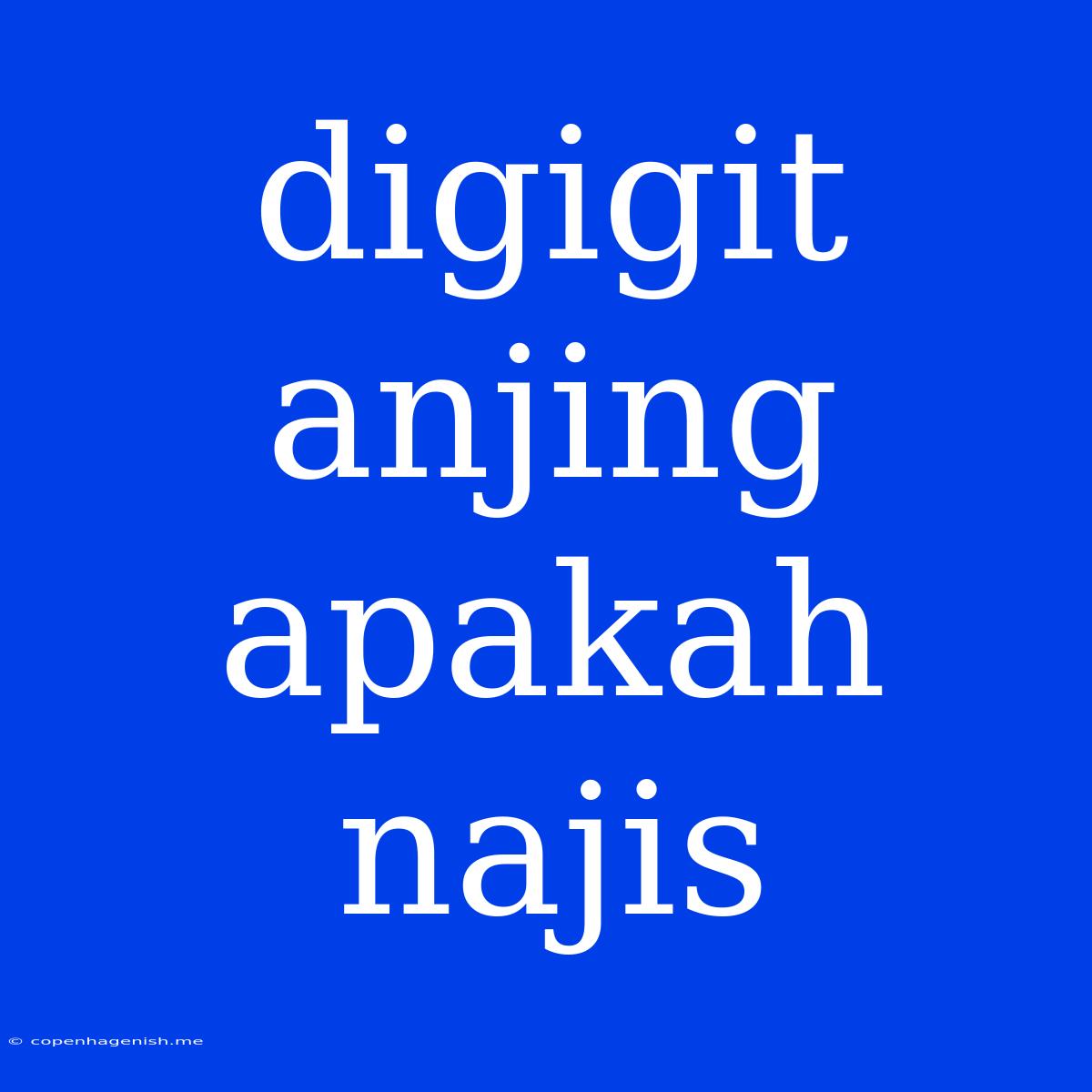 Digigit Anjing Apakah Najis