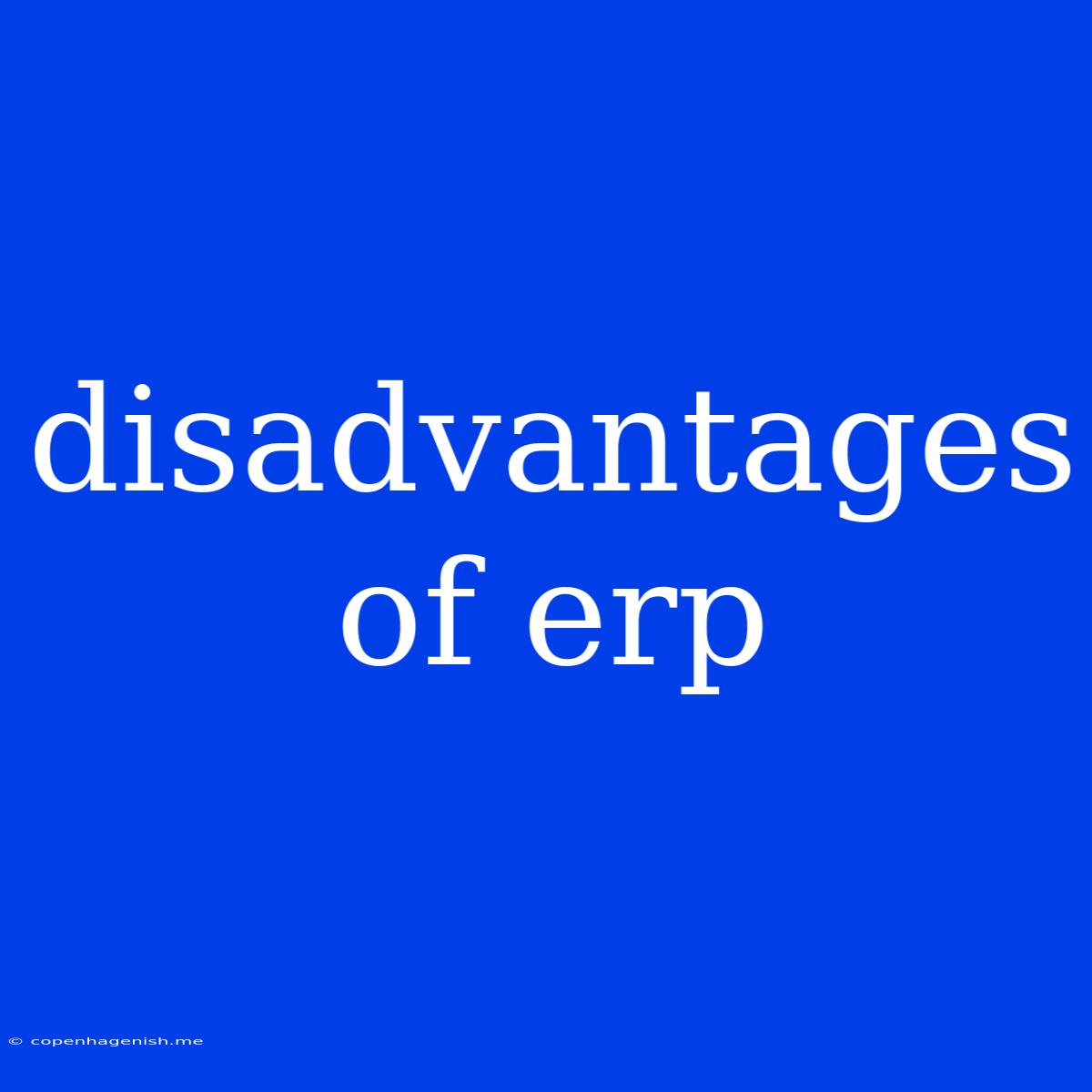 Disadvantages Of Erp