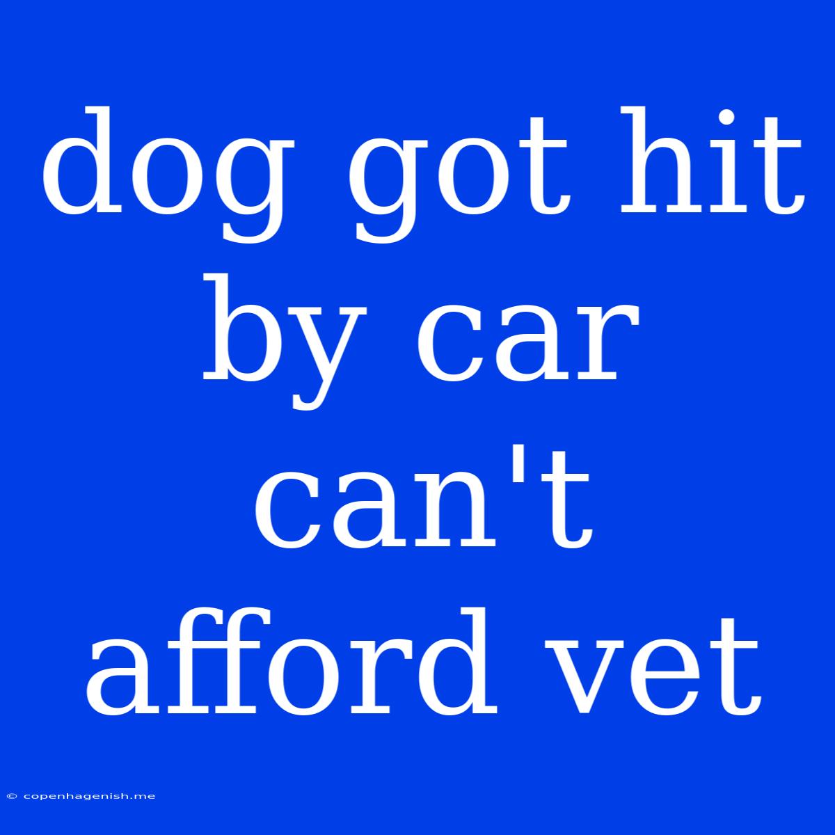 Dog Got Hit By Car Can't Afford Vet