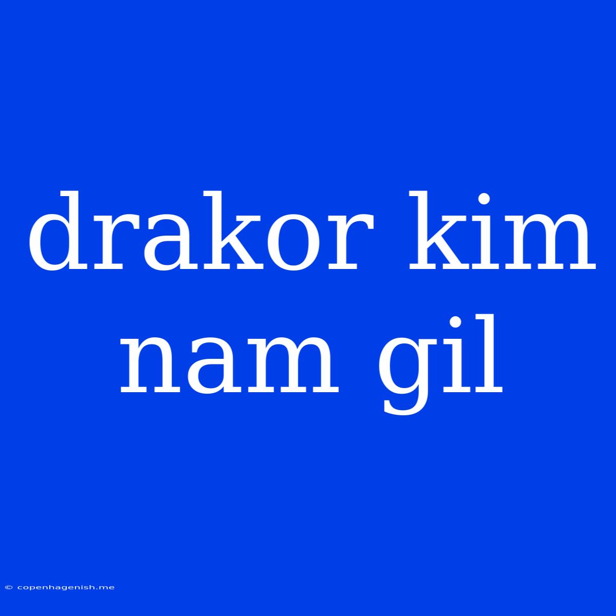 Drakor Kim Nam Gil