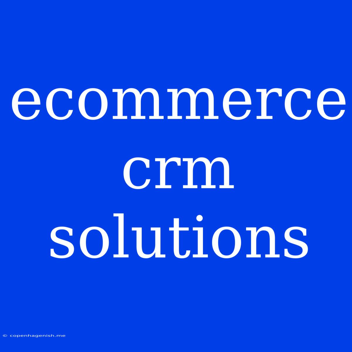 Ecommerce Crm Solutions