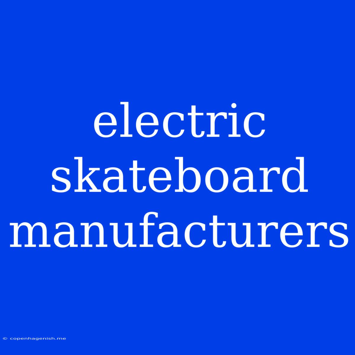 Electric Skateboard Manufacturers