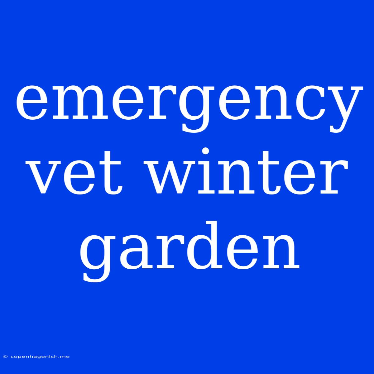 Emergency Vet Winter Garden