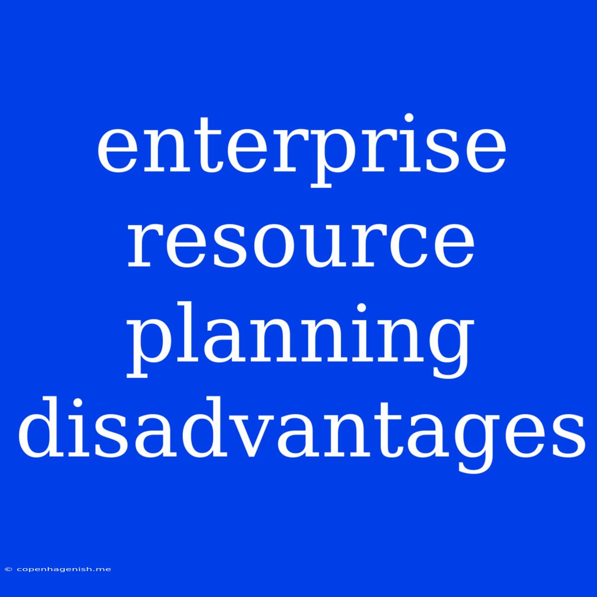 Enterprise Resource Planning Disadvantages