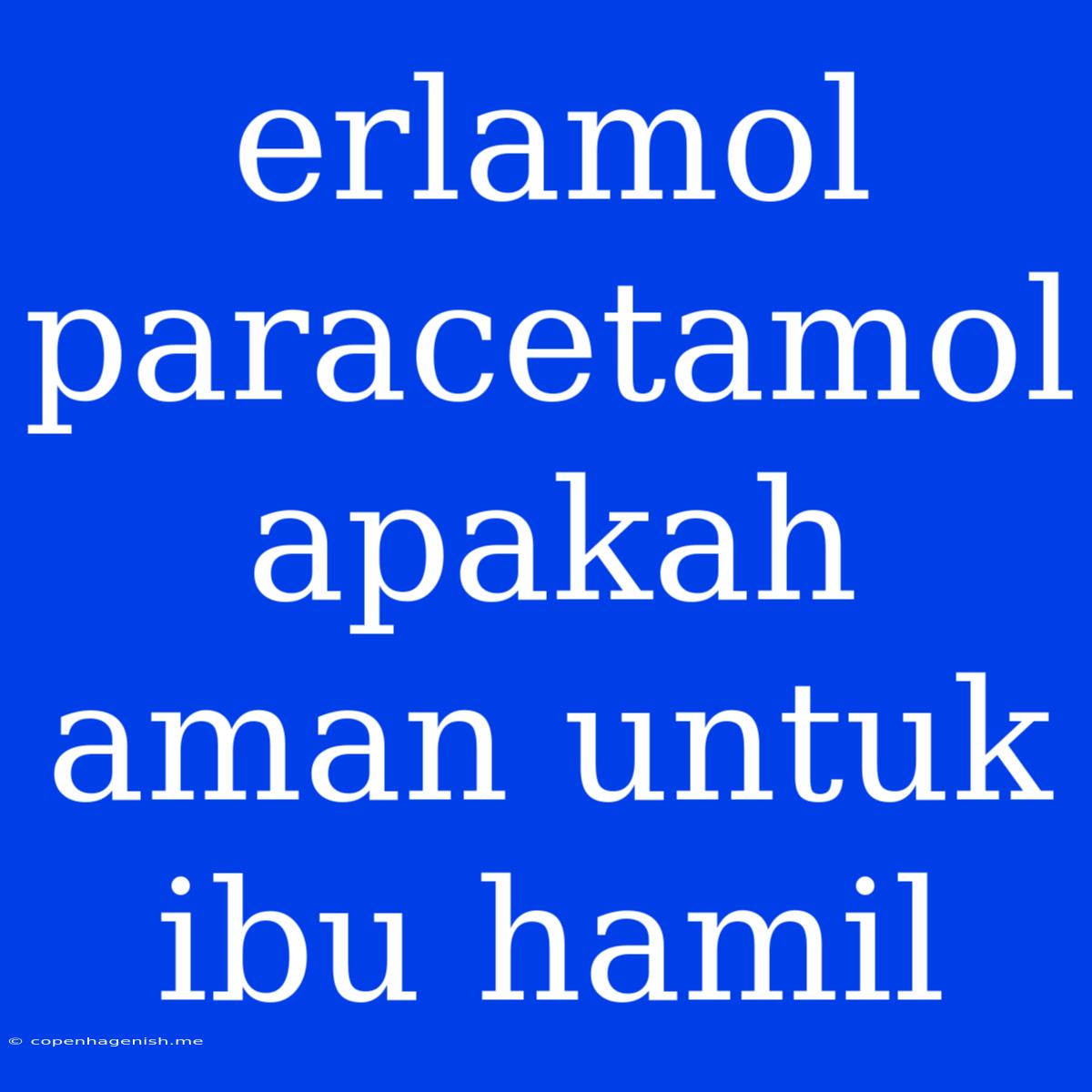 Erlamol Paracetamol Apakah Aman Untuk Ibu Hamil