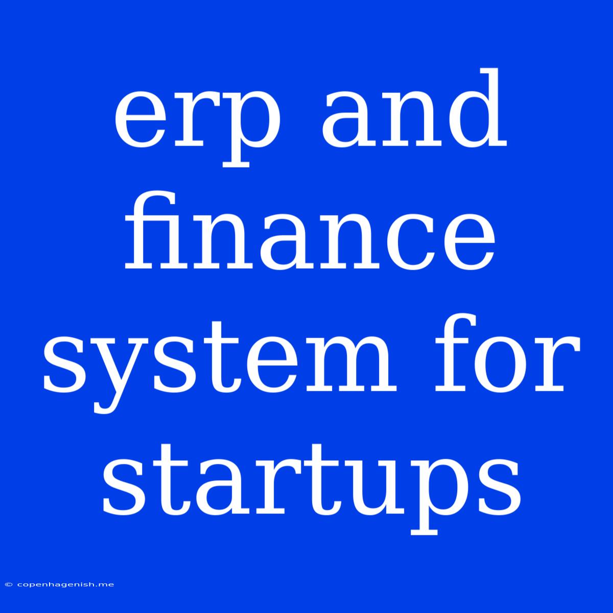 Erp And Finance System For Startups