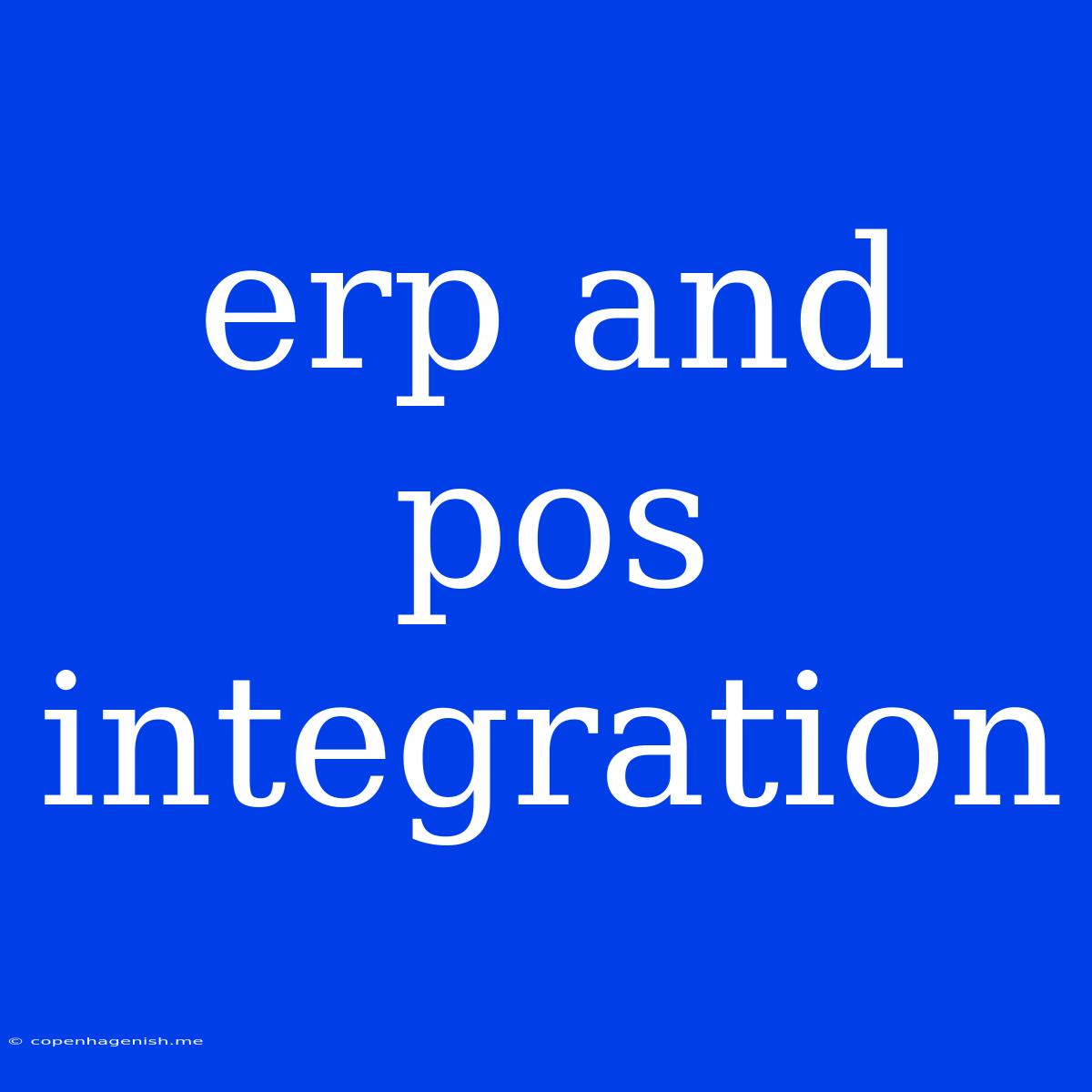 Erp And Pos Integration