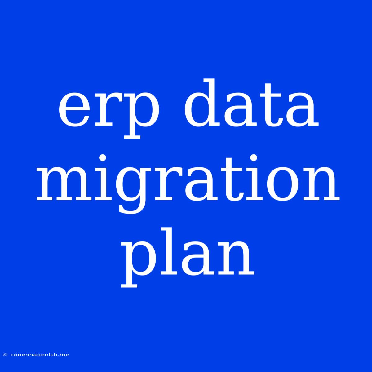 Erp Data Migration Plan