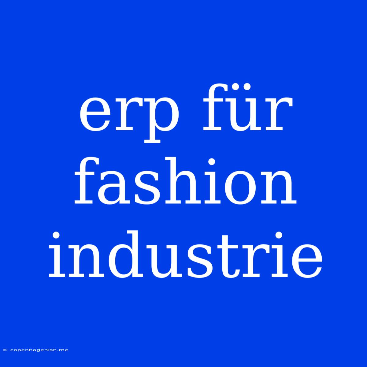 Erp Für Fashion Industrie