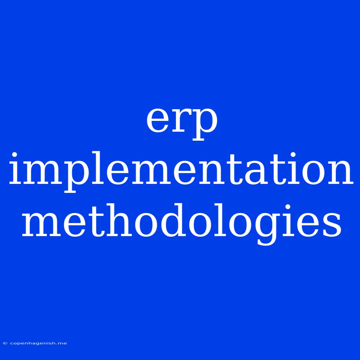 Erp Implementation Methodologies