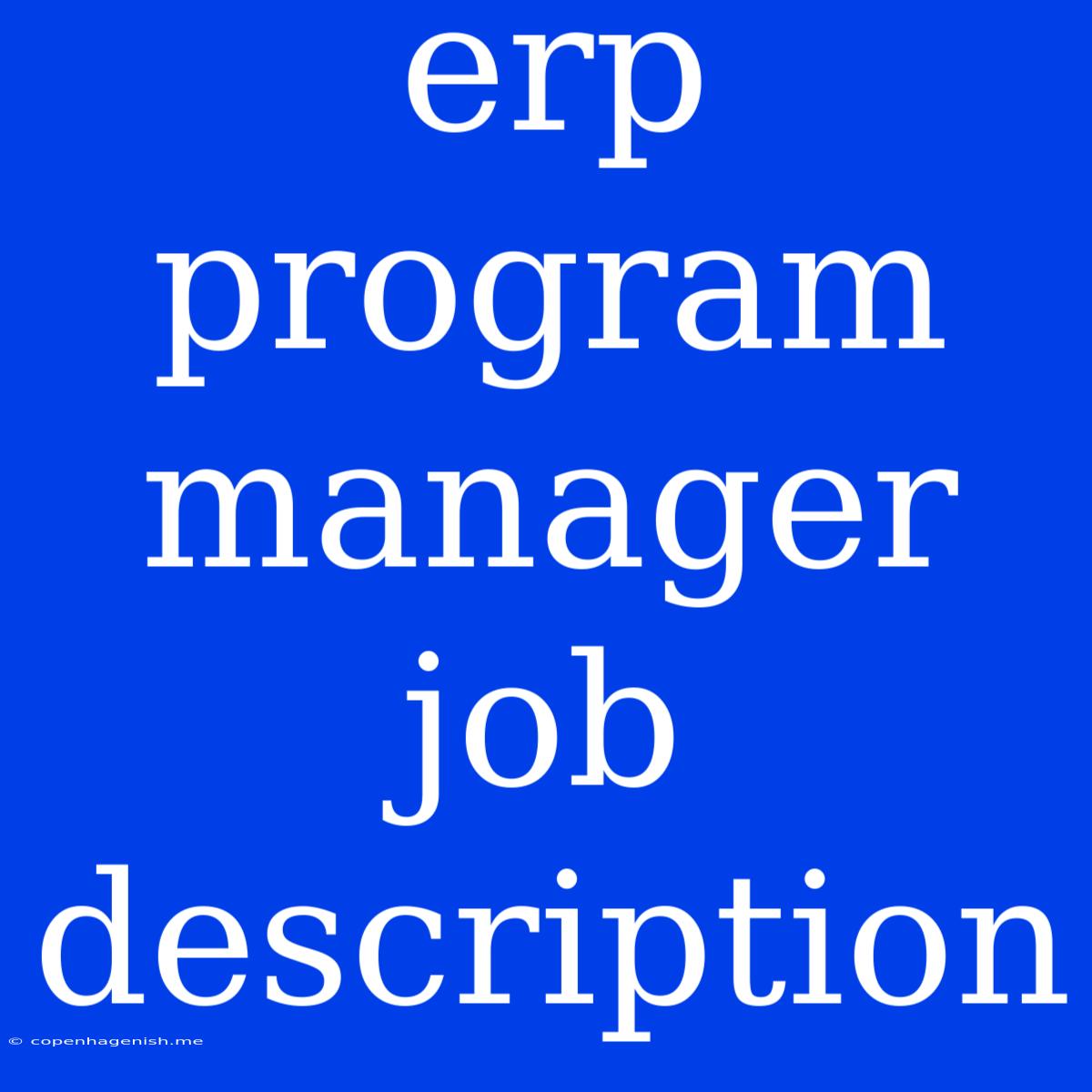 Erp Program Manager Job Description