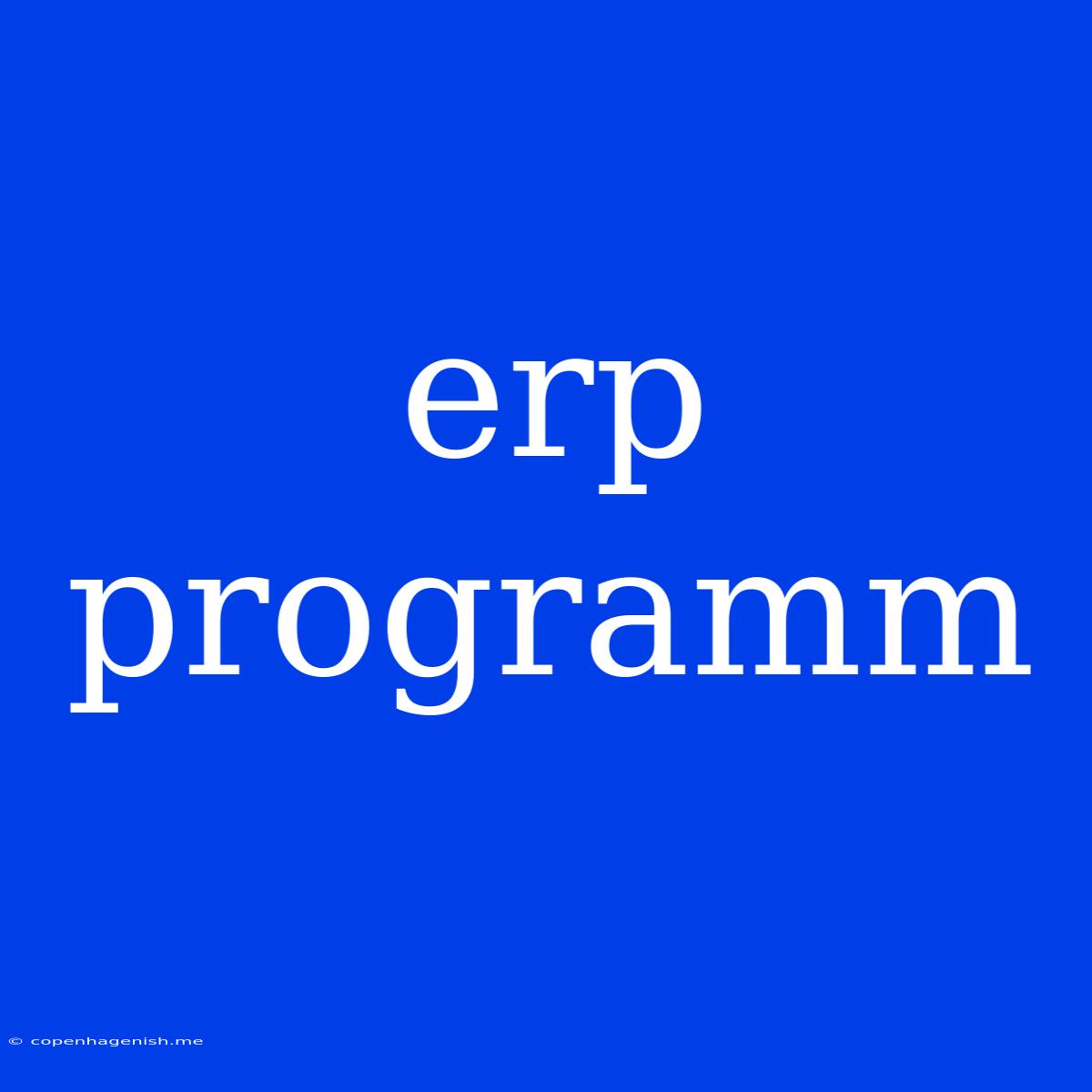 Erp Programm