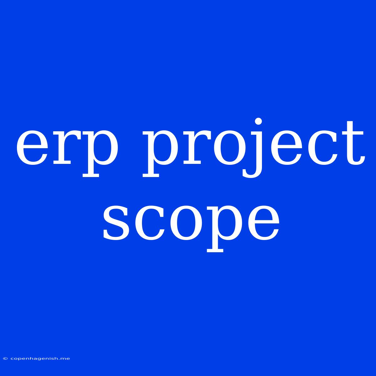 Erp Project Scope