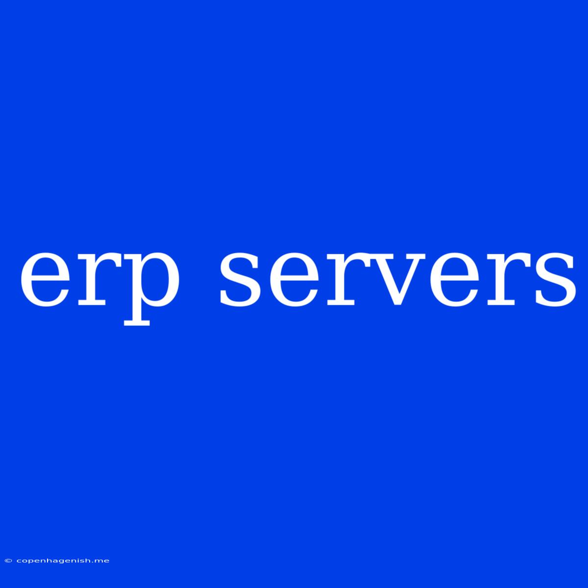 Erp Servers