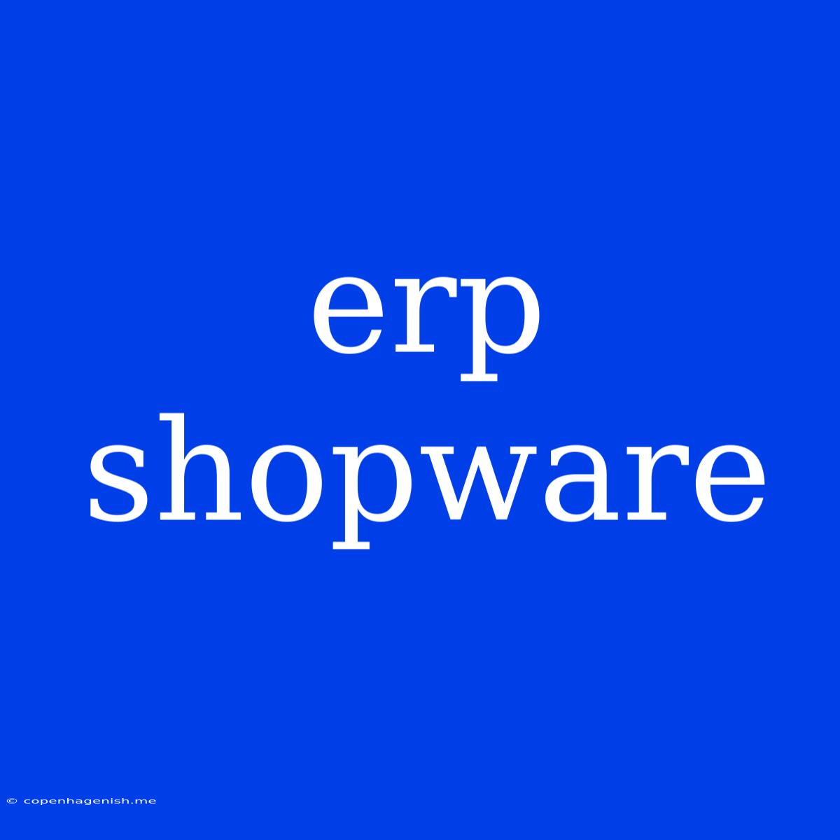 Erp Shopware