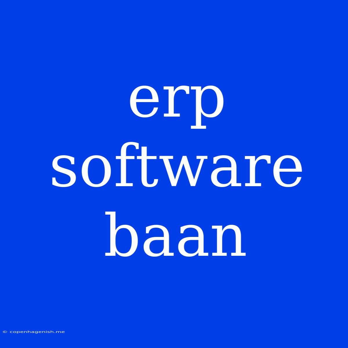 Erp Software Baan