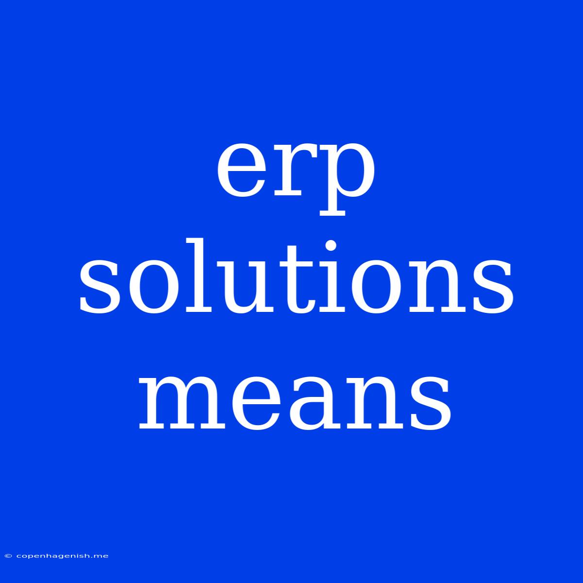 Erp Solutions Means