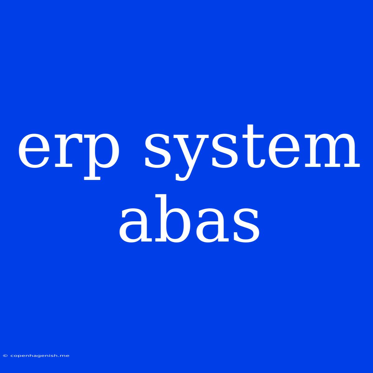 Erp System Abas