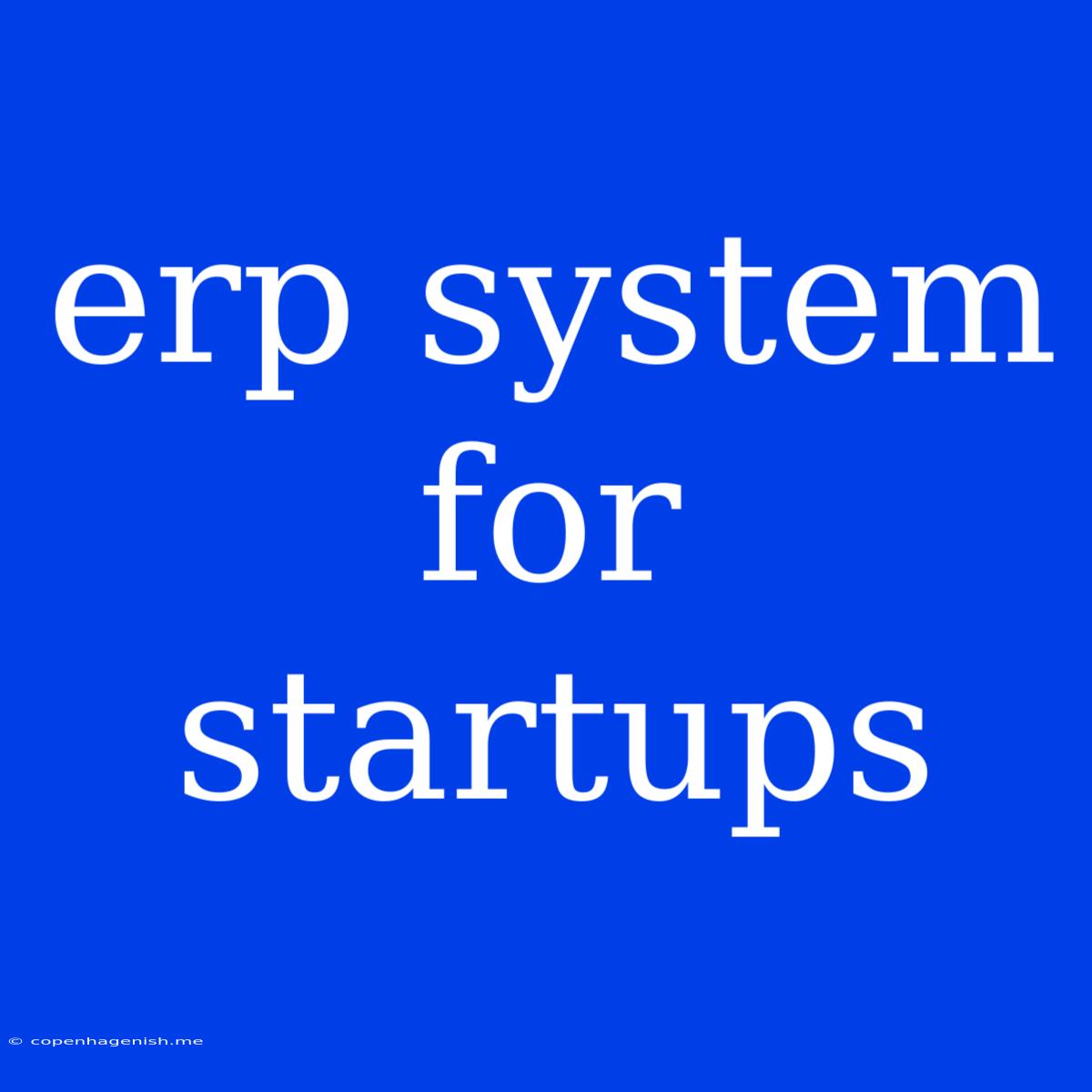 Erp System For Startups