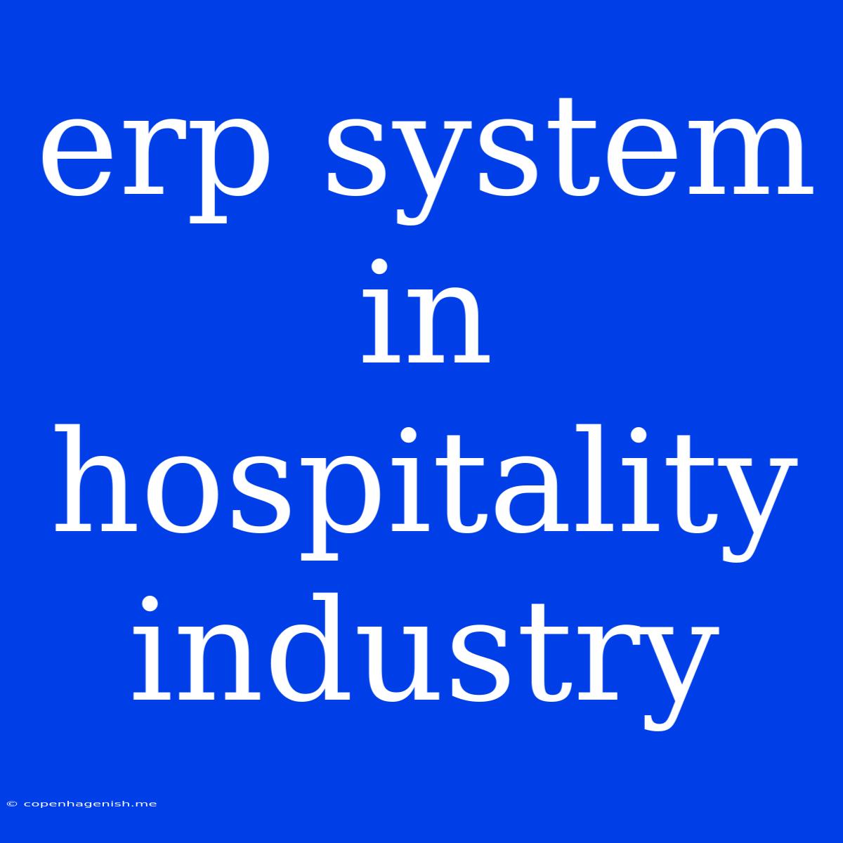 Erp System In Hospitality Industry