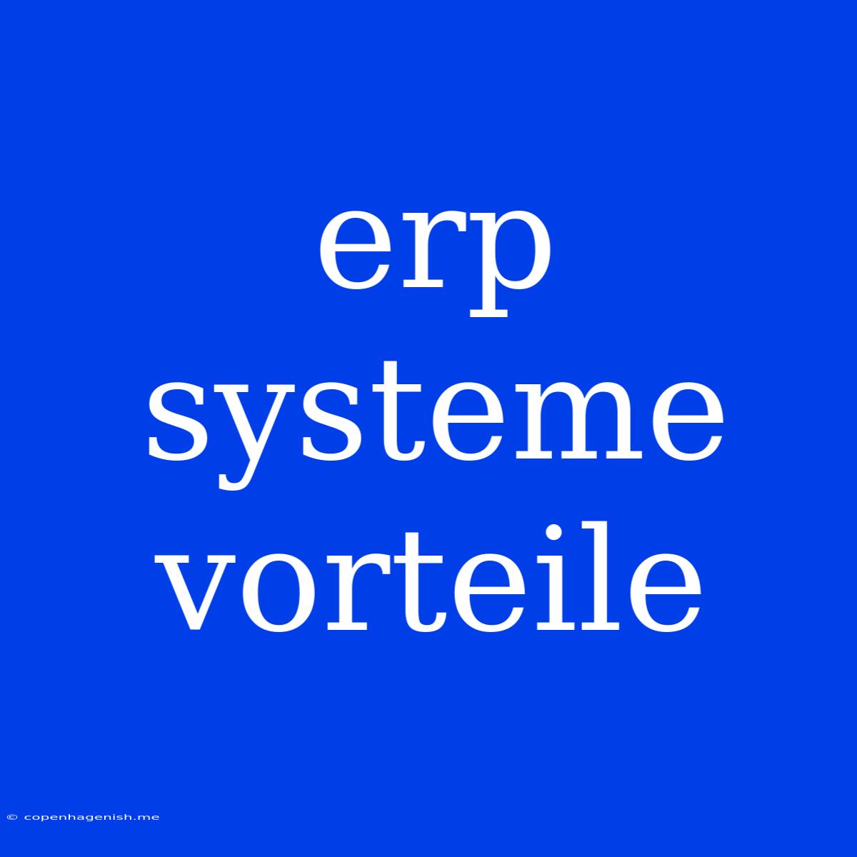 Erp Systeme Vorteile