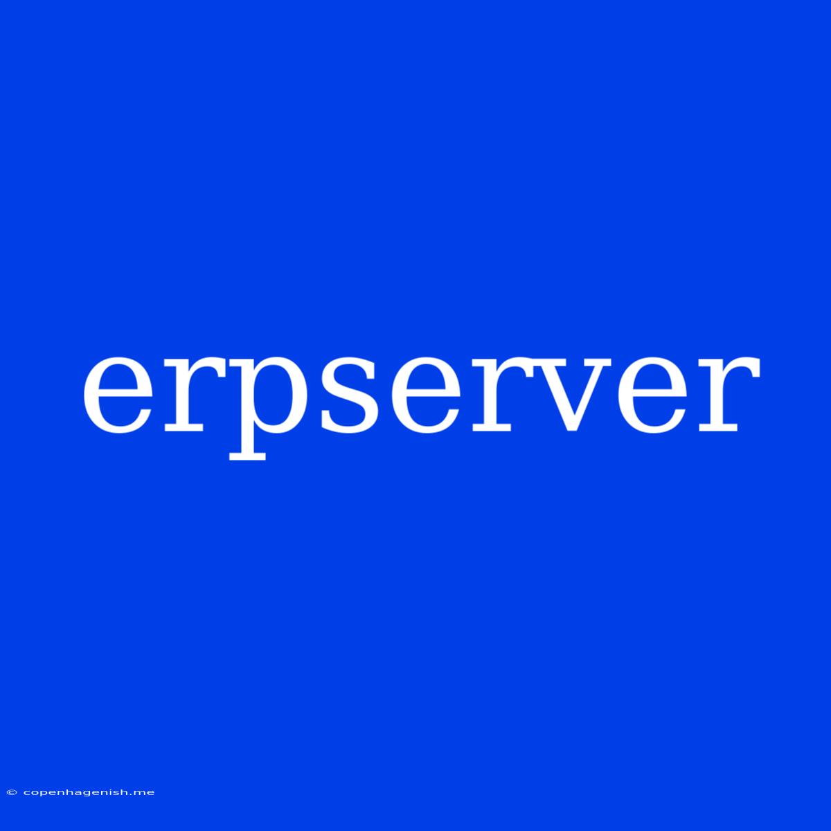 Erpserver