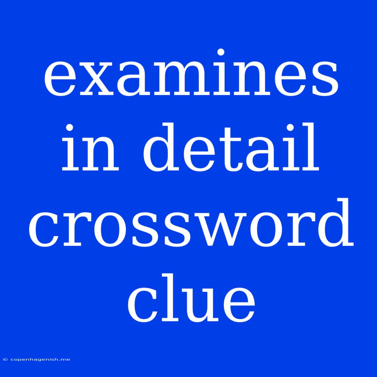 Examines In Detail Crossword Clue