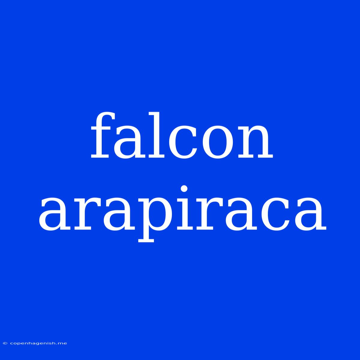 Falcon Arapiraca