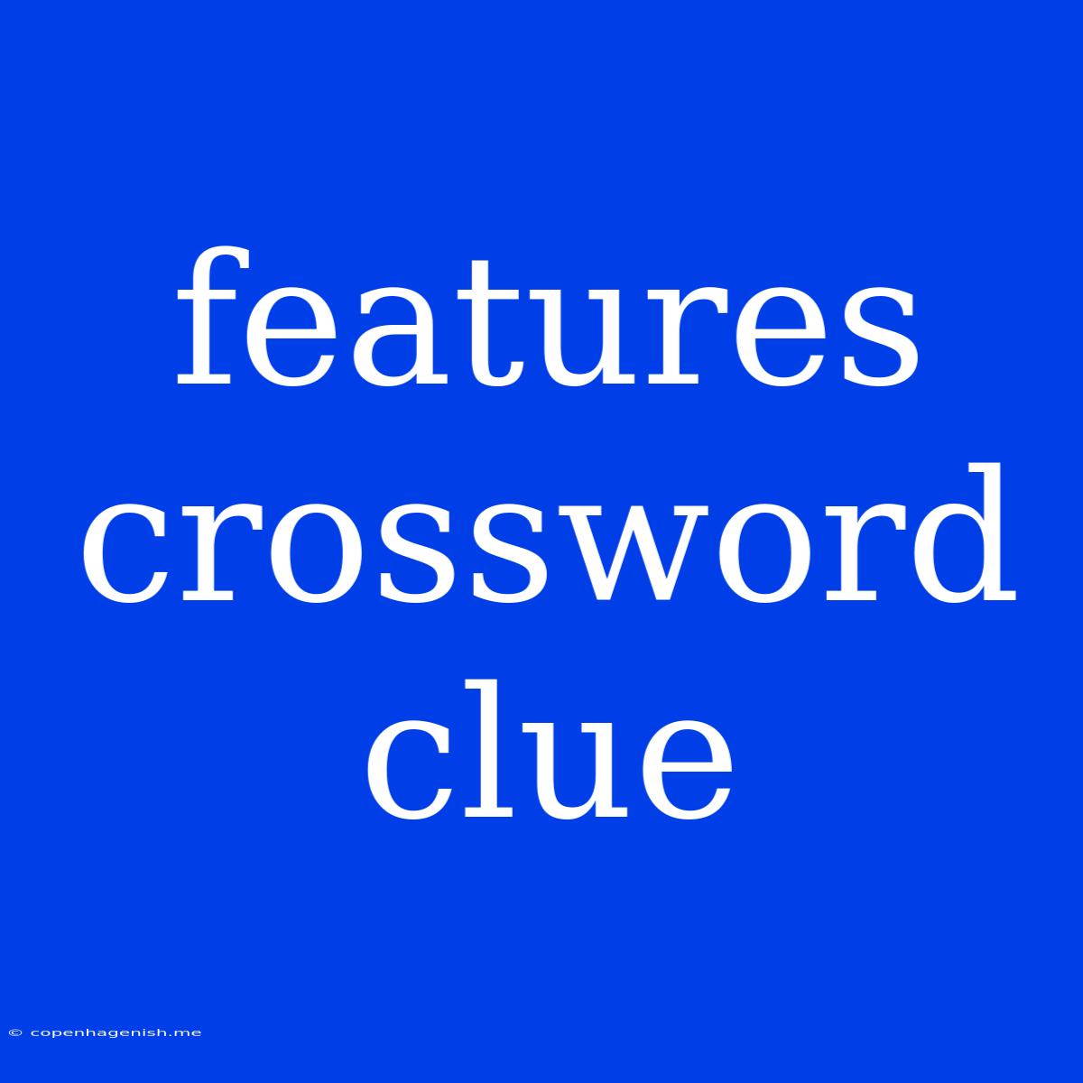 Features Crossword Clue