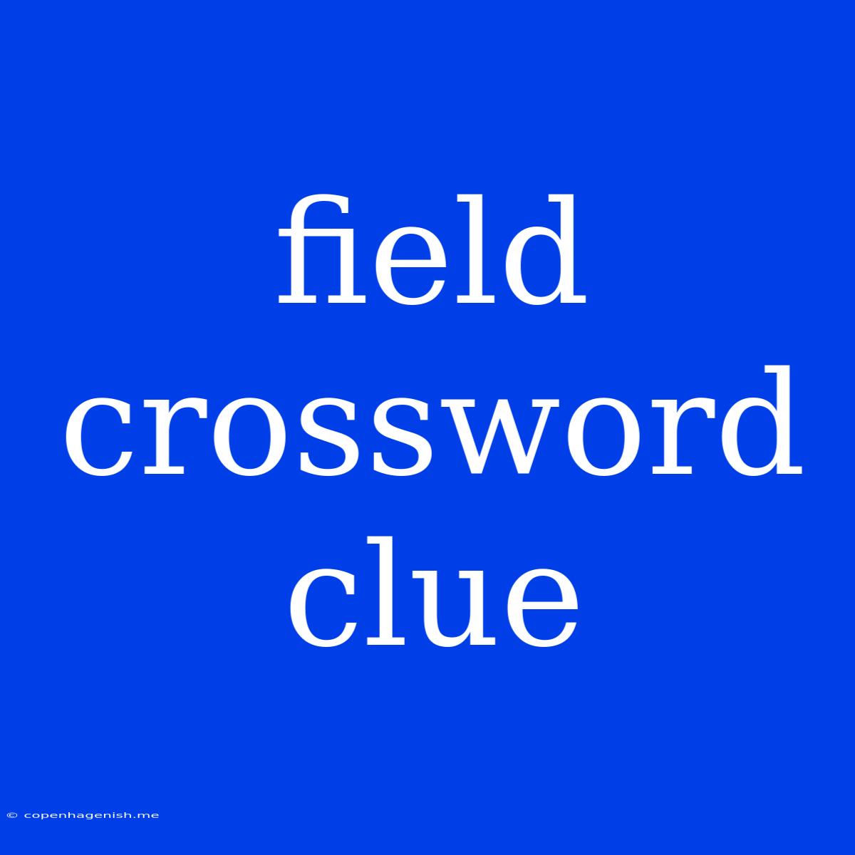 Field Crossword Clue