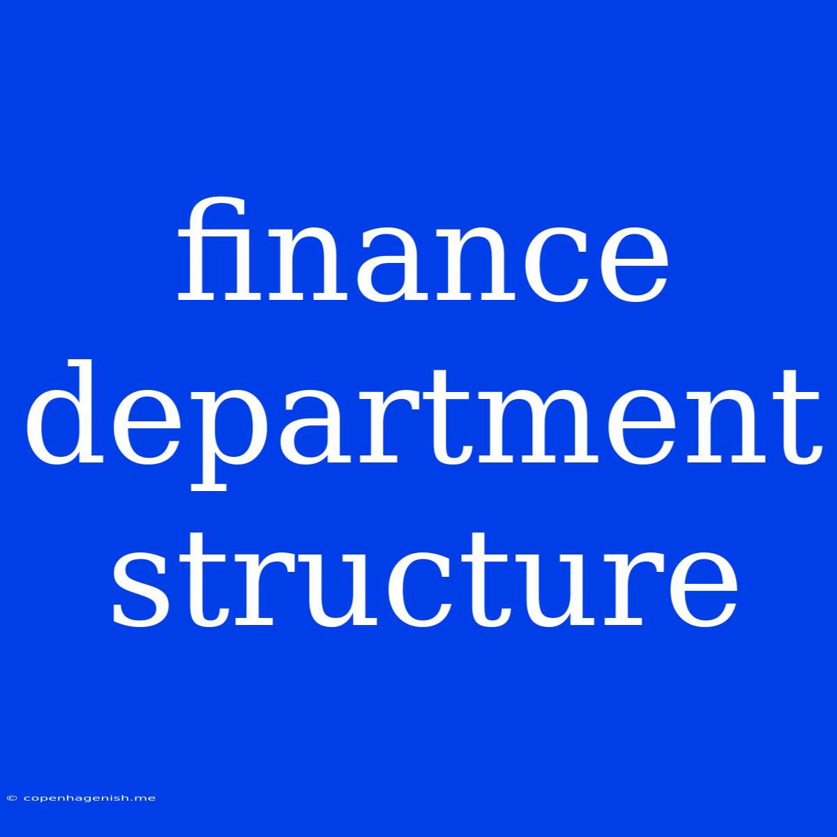 Finance Department Structure