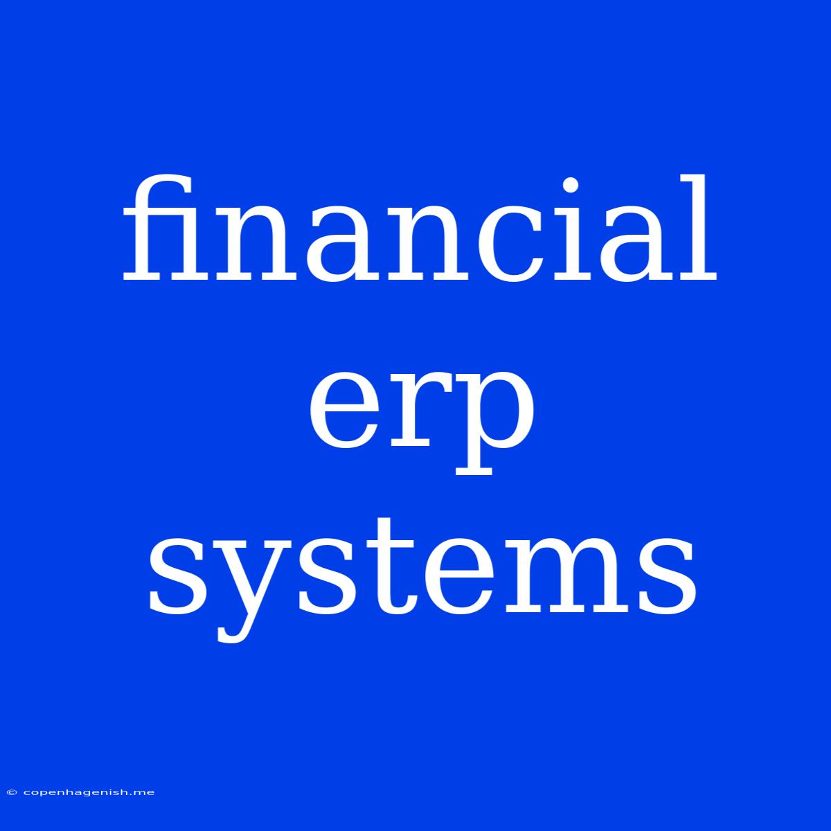 Financial Erp Systems