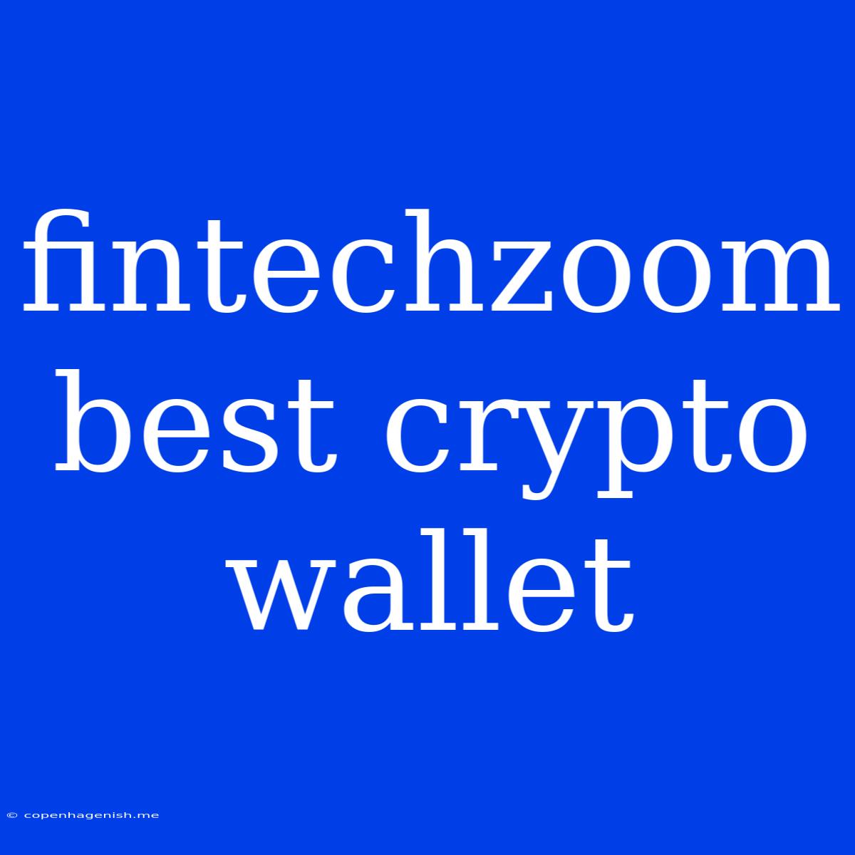 Fintechzoom Best Crypto Wallet