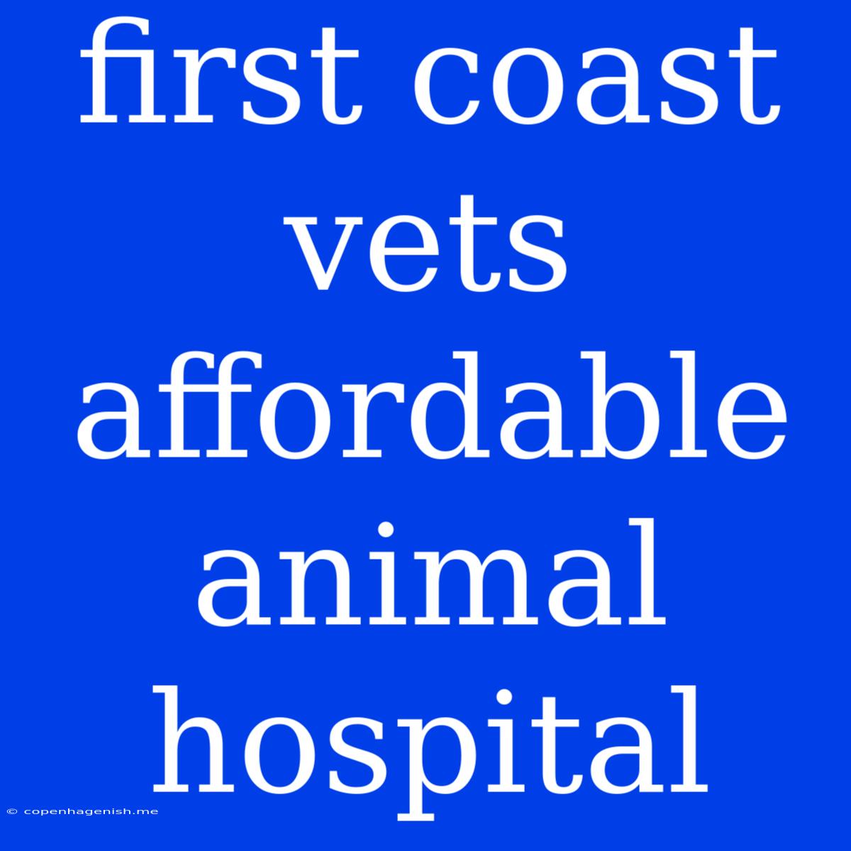 First Coast Vets Affordable Animal Hospital