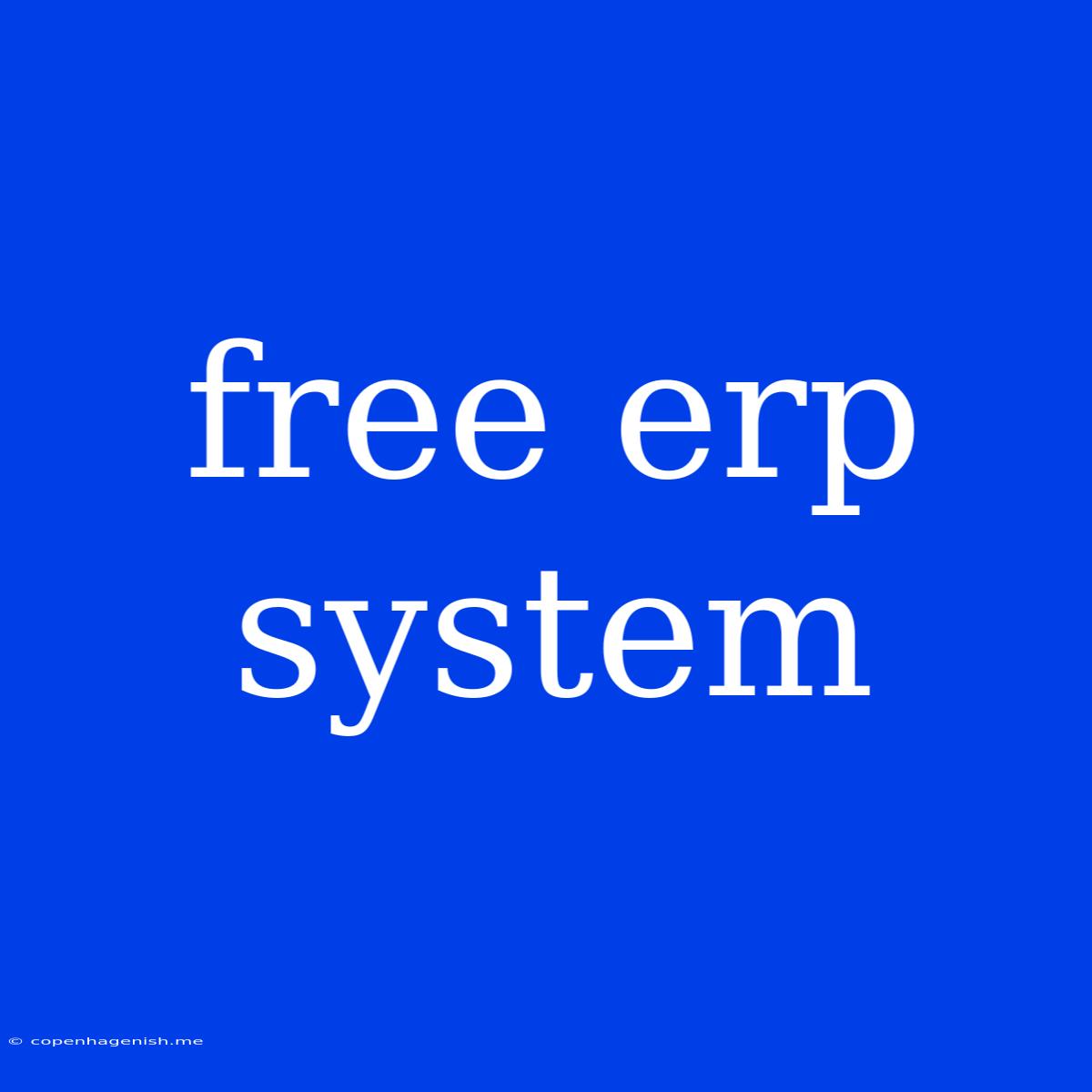 Free Erp System