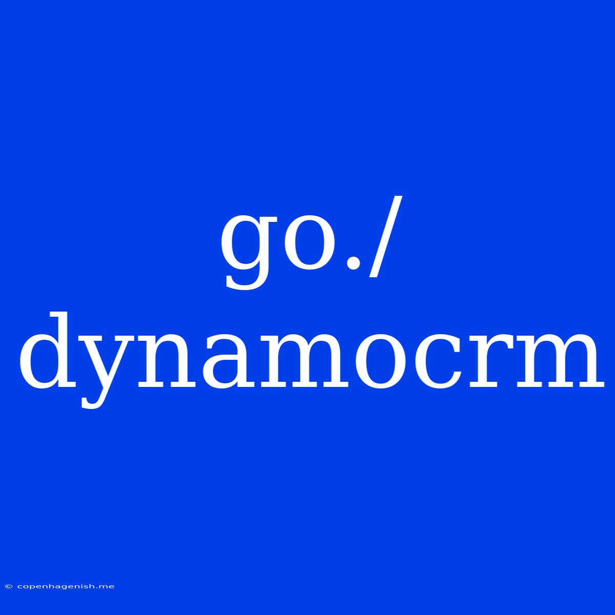 Go./dynamocrm