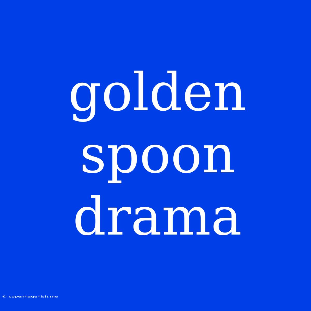 Golden Spoon Drama