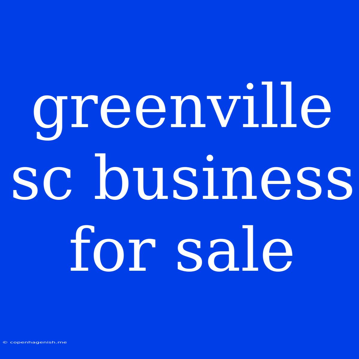 Greenville Sc Business For Sale