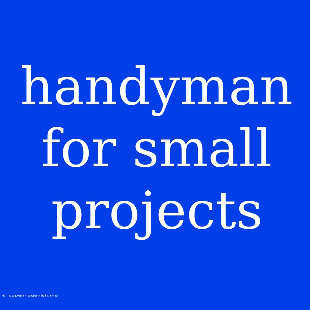 Handyman For Small Projects