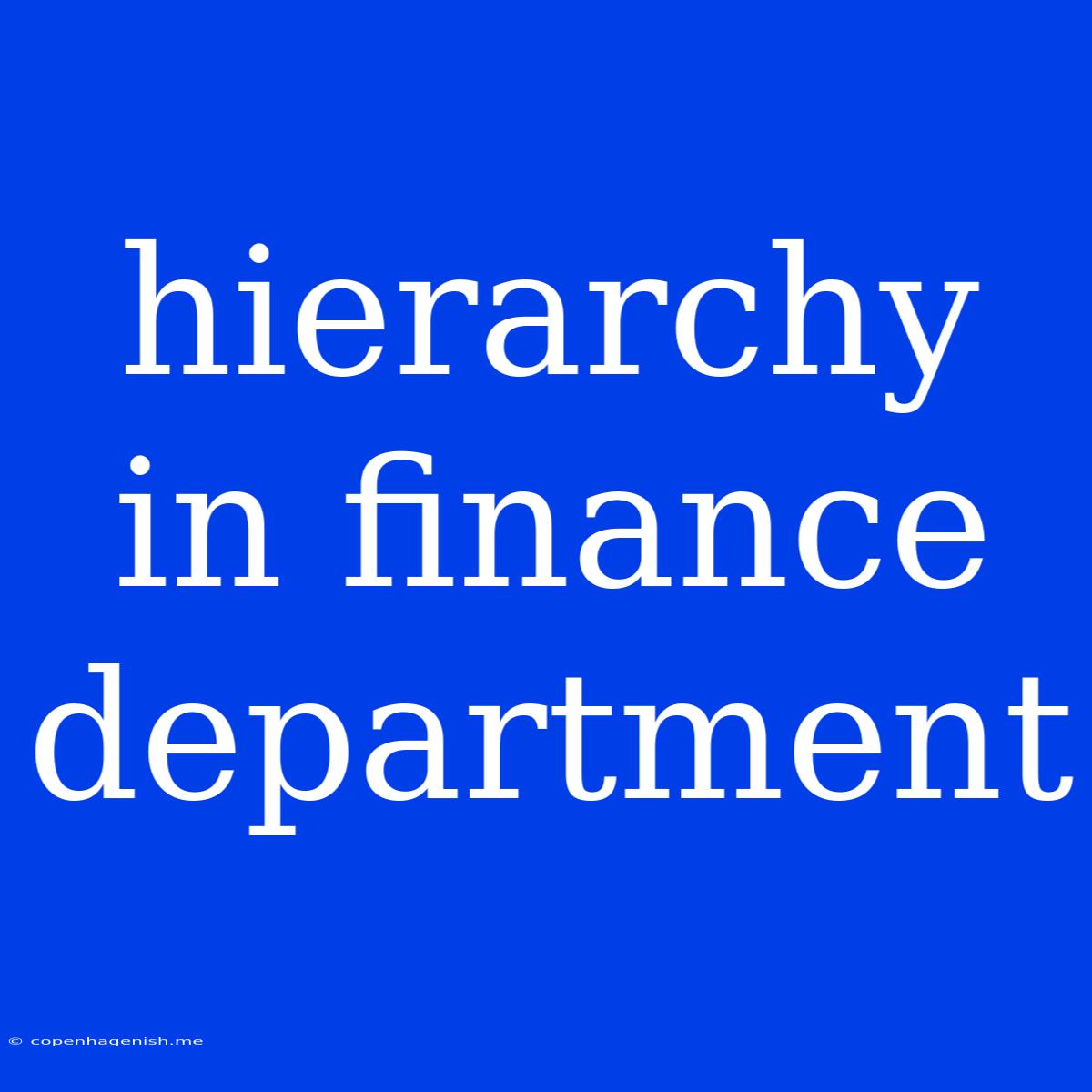 Hierarchy In Finance Department