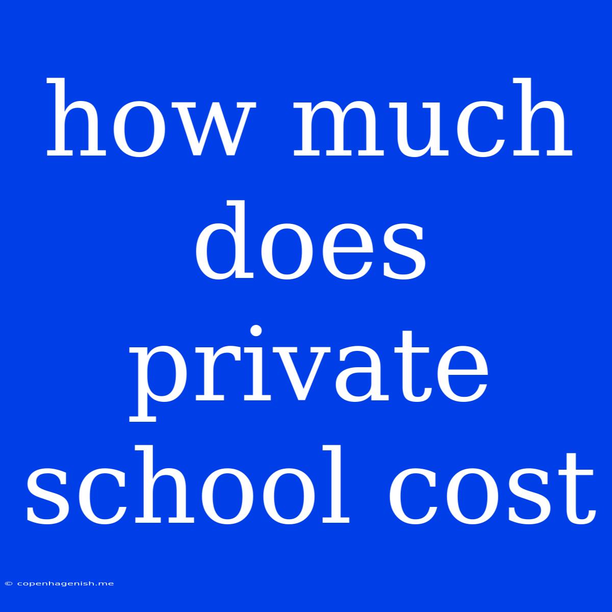 How Much Does Private School Cost