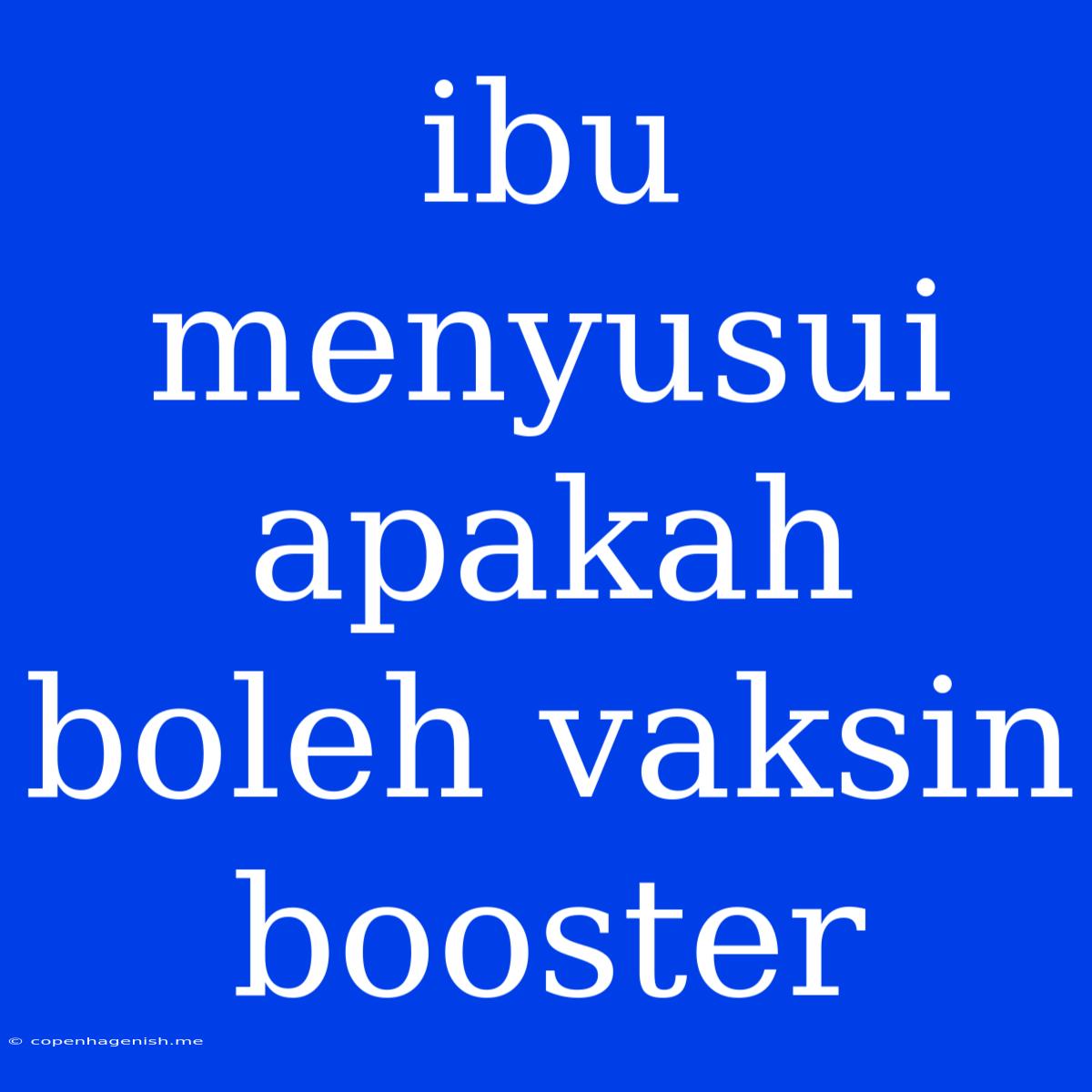 Ibu Menyusui Apakah Boleh Vaksin Booster