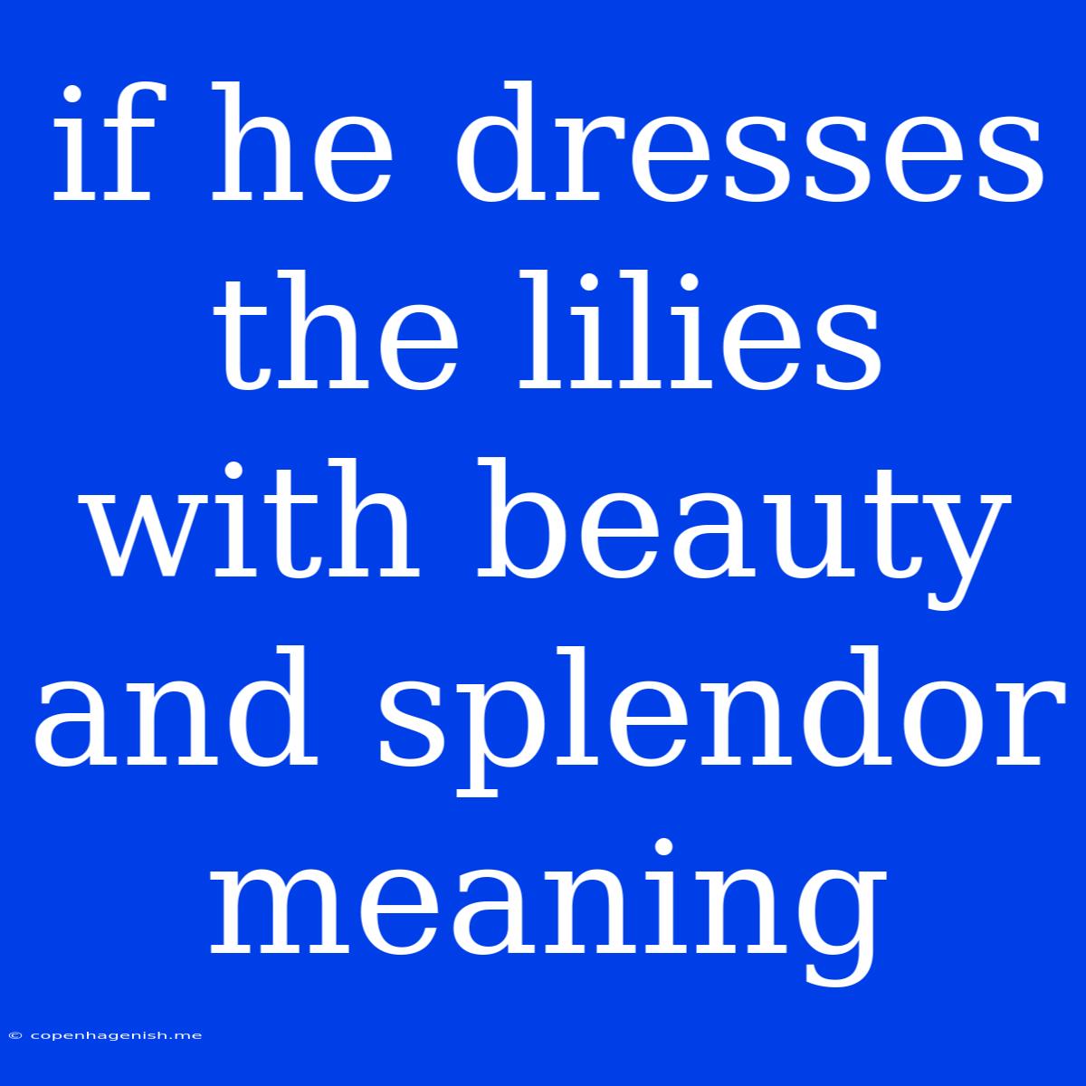 If He Dresses The Lilies With Beauty And Splendor Meaning