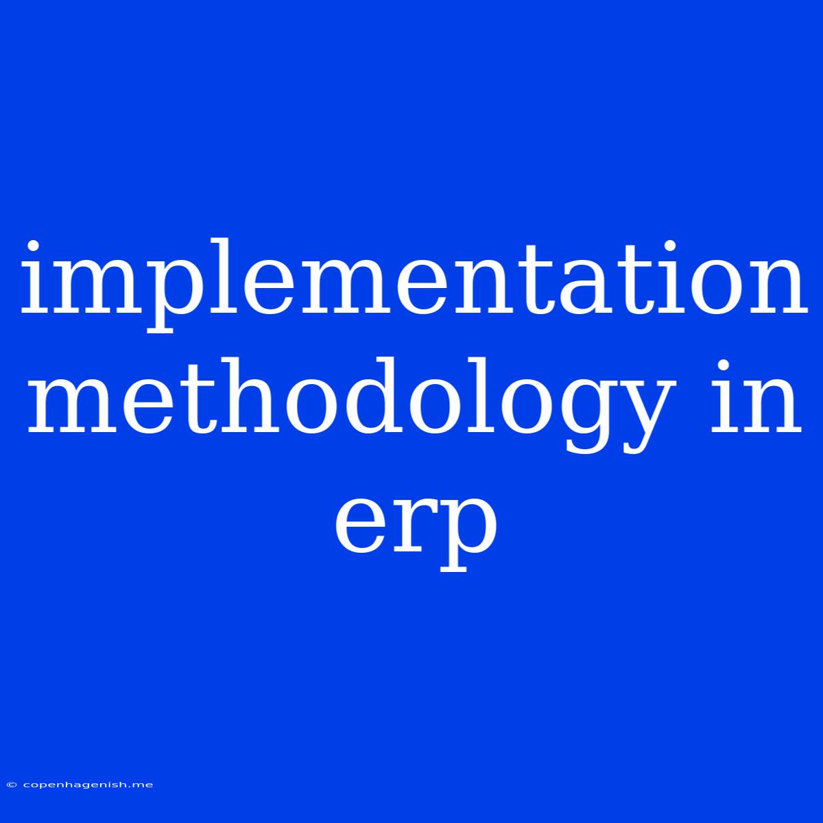 Implementation Methodology In Erp