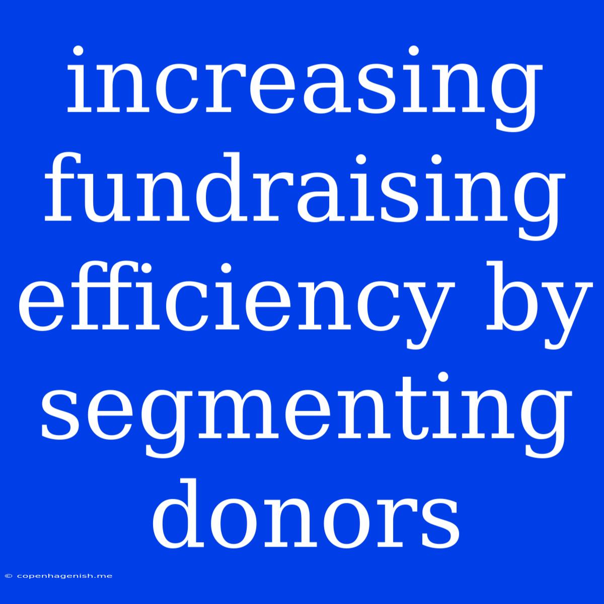 Increasing Fundraising Efficiency By Segmenting Donors